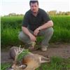 Image 1 : ROE DEER HUNT IN HUNGARY FOR ONE INCLUDING 3 ROE DEER!