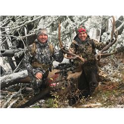 Montana Elk and Mule Deer Combo Hunt in Montana for 1 Hunter