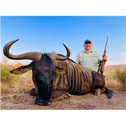 WARTHOG, IMPALA, AND BLUE WILDEBEEST HUNT IN SOUTH AFRICA FOR TWO HUNTERS