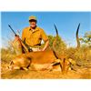 Image 2 : WARTHOG, IMPALA, AND BLUE WILDEBEEST HUNT IN SOUTH AFRICA FOR TWO HUNTERS