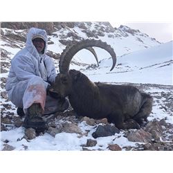 Mid-Asian Ibex Hunt