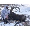 Image 1 : Mid-Asian Ibex Hunt