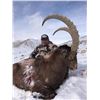 Image 2 : Mid-Asian Ibex Hunt