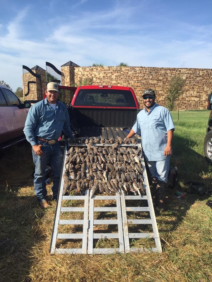 South Texas Quail Hunt for 4 Hunters