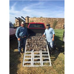 South Texas Quail Hunt for 4 Hunters