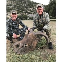 Aoudad Hunt for 1 hunter in TX