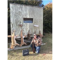 Predator Hunt in Nebraska