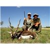 Image 1 : 7-Day Hunt in Blackbuck/Wing Shooting hunt for 4 hunters and 4 non-hunters in Argentina