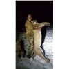 Image 1 : Mountain Lion Hunt in Nevada for 1 hunter