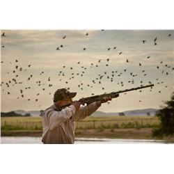 Argentina Dove Hunt for 2 hunters