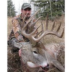 Alberta Whitetail Hunt for 1 Hunter