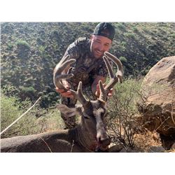 5-Day Arizona Coues Deer Hunt