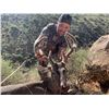 Image 1 : 5-Day Arizona Coues Deer Hunt