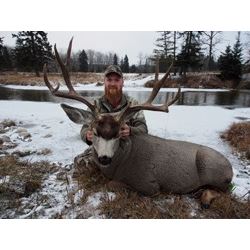 6 Day Trophy Mule Deer hunt for one hunter in Central Alberta