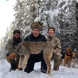 5 Day Lynx hunt in British Columbia
