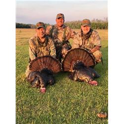 Osceola Turkey Hunt for 2 Hunters in Florida