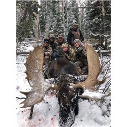 Utah Shiras Moose hunt with GUARANTEED tag for 1 hunter