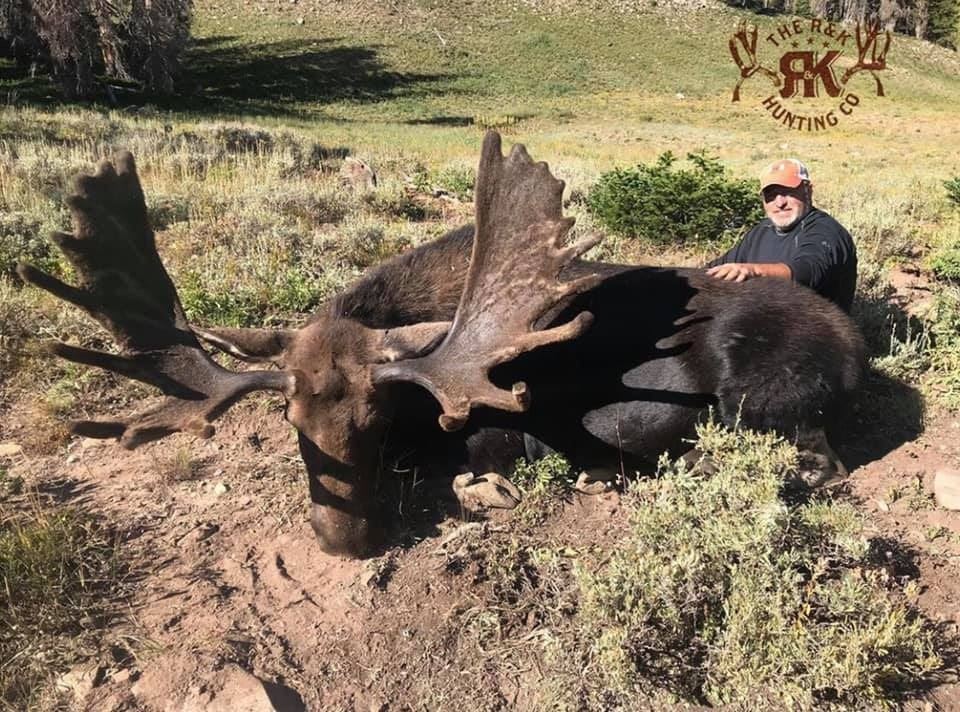 Utah Shiras Moose hunt with GUARANTEED tag for 1 hunter