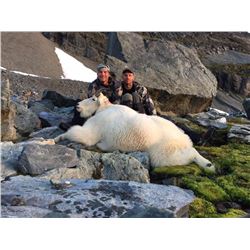 Costal British Columbia Mt. Goat Hunt for 1 Hunter