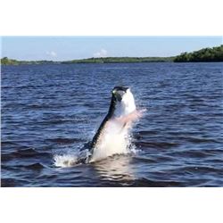 3 Days of Fishing for 2 Anglers near Marco Island/Naples Florida