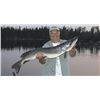 Image 1 : 4 Night/3 Day Remote Fly out Ontario Fishing package for 2