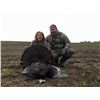 Image 1 : 2-Day Eastern Turkey hunt in Kansas for 2 Hunters