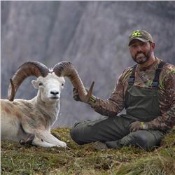 10 Day Alaska Dall Sheep Hunt for 1 Hunter