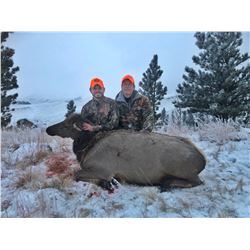 Cow Elk hunt for 2 in Wyoming