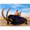 Image 1 : Sable Hunt for 2 hunters each hunter takes a sable