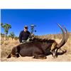 Image 2 : Sable Hunt for 2 hunters each hunter takes a sable