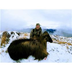 Helicopter Hunt for Tahr and Chamois in New Zealand for 2 Hunters