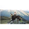 Image 2 : Helicopter Hunt for Tahr and Chamois in New Zealand for 2 Hunters