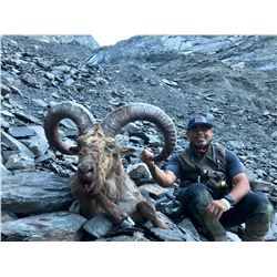 Eastern (Dagestan Tur) Hunt in Azerbaijan