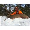 Image 1 : 5-Day Northern Wisconsin Whitetail Rifle Hunt
