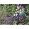 Image 4 : Wild Hog Hunt for up to 4 Hunters