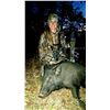 Image 3 : 4-day hog and/or Predator hunt (Coyote/Bobcat) for 1