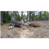 Image 6 : 4-day hog and/or Predator hunt (Coyote/Bobcat) for 1