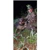 Image 7 : 4-day hog and/or Predator hunt (Coyote/Bobcat) for 1