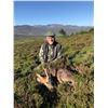 Image 2 : 2 Roe Deer Trophy Fees for 1 hunter for 4 nights/5days in Scotland