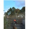 Image 3 : 25 Bird walk-up Pheasant Hunt for 4 Hunters