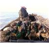 Image 1 : 1-day (or limit) Waterfowl Hunt for 3 hunters