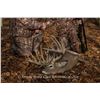 Image 1 : Xtreme World Class Whitetails of OH 3-day/3-night, SCI 180"-200" class Whitetail Hunt for 2 hunters