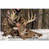 Image 2 : Xtreme World Class Whitetails of OH 3-day/3-night, SCI 180"-200" class Whitetail Hunt for 2 hunters