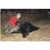 Image 5 : 7-Day Trophy Black Bear Hunt in Minnesota for 1 hunter