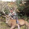 Image 1 : 4-Day/5-Night New Zealand Red Stag up to 360 SCI for 1 Hunter