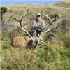Image 3 : 4-Day/5-Night New Zealand Red Stag up to 360 SCI for 1 Hunter