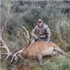 Image 4 : 4-Day/5-Night New Zealand Red Stag up to 360 SCI for 1 Hunter