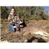 Image 2 : Combo Trophy Whitetail and Trophy Exotic Hunt for 2 hunters, 3-days/2-nights