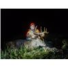 Image 2 : 6-night/5-day, free-range, Whitetail deer hunt (1 buck 