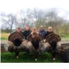 Image 2 : 2-day Eastern Turkey Hunt for 1 hunter